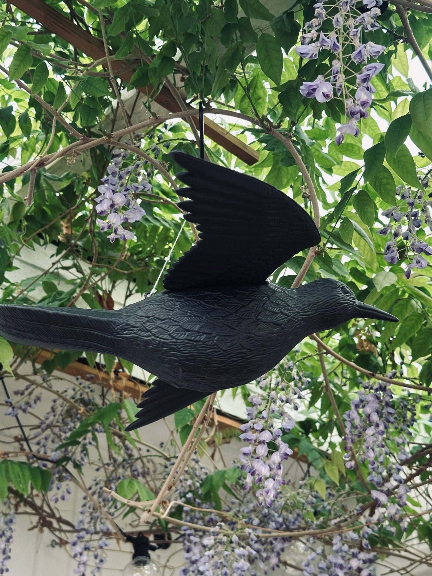 Fugl - RAVEN BLACK