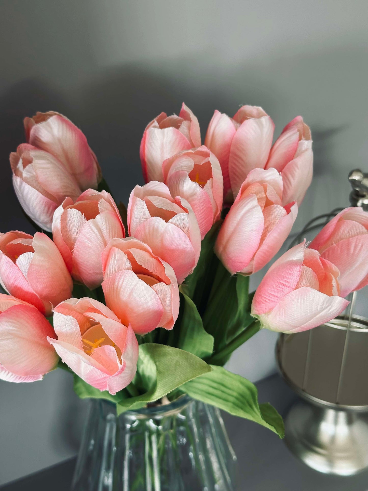 Rosa Tulipaner