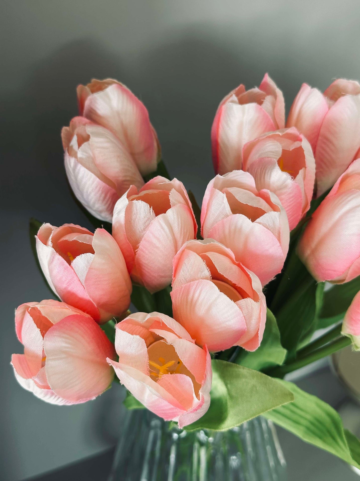 Rosa Tulipaner