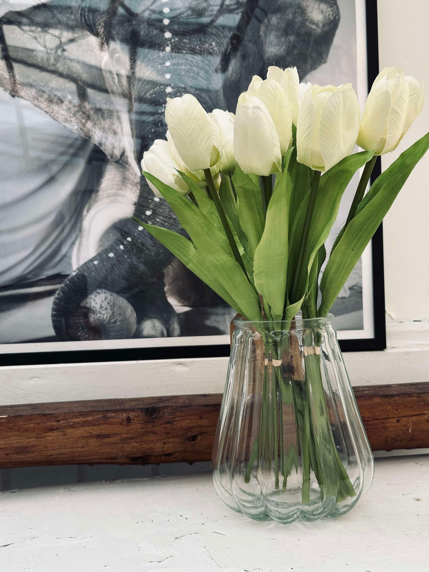 Hvite Tulipaner