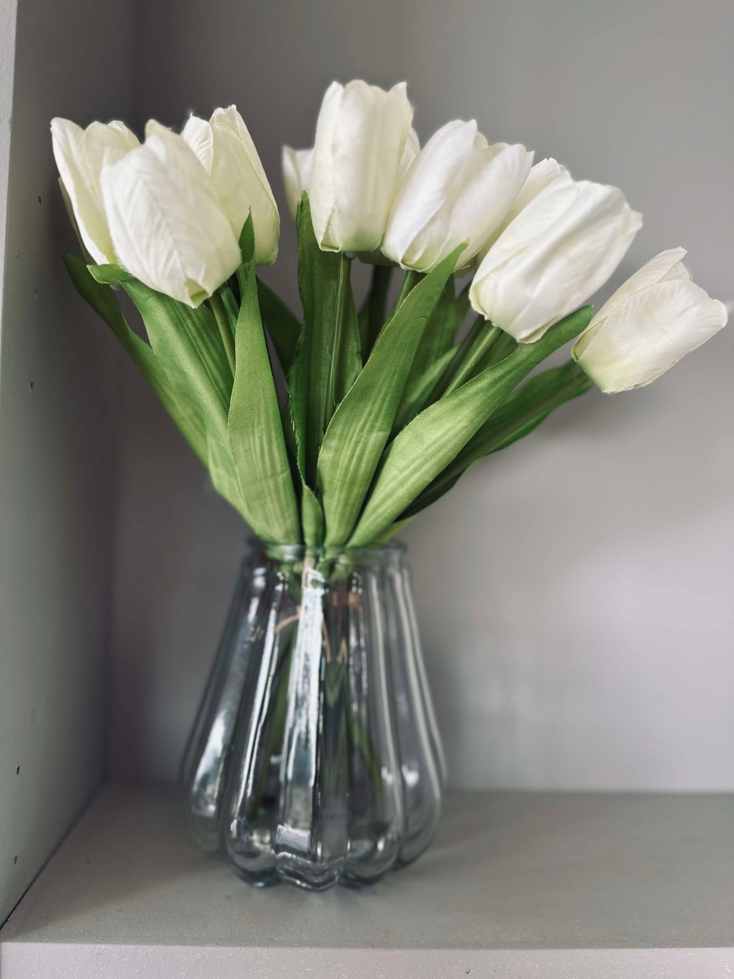 Hvite Tulipaner