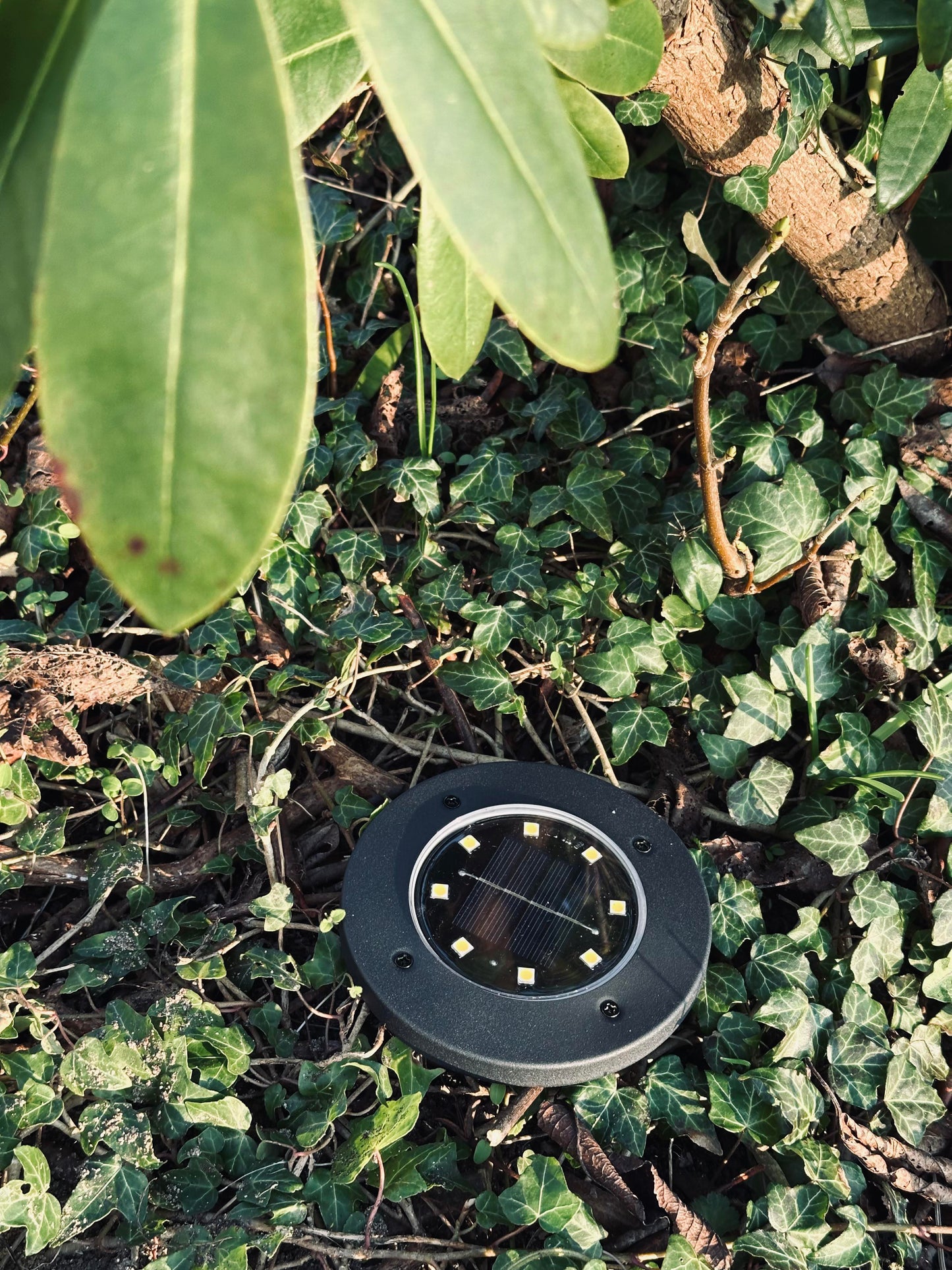 Solcelle spotter SVART – Sett med 4 stk.