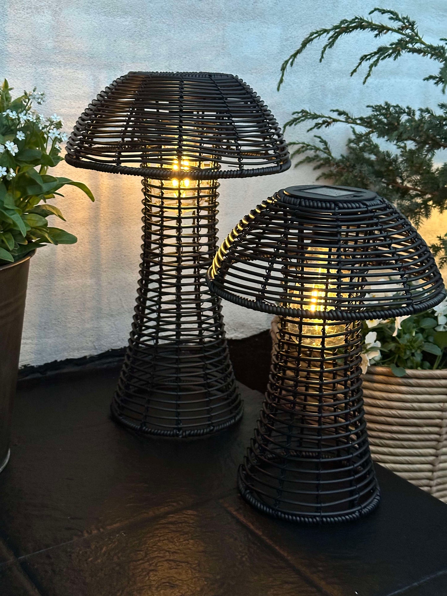 Sopp Solcelle - Svart Liten
