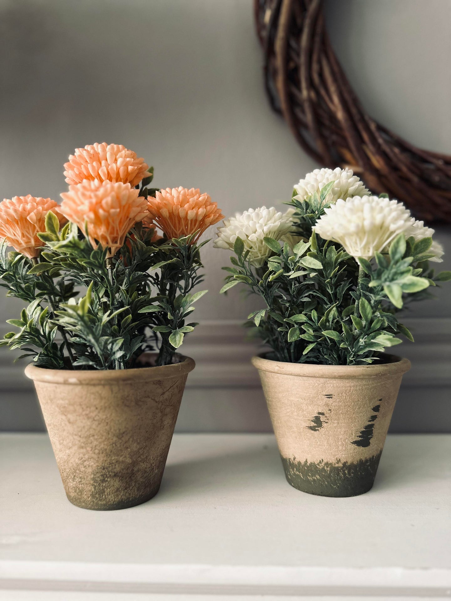 Blomst i rustikk potte - Coral