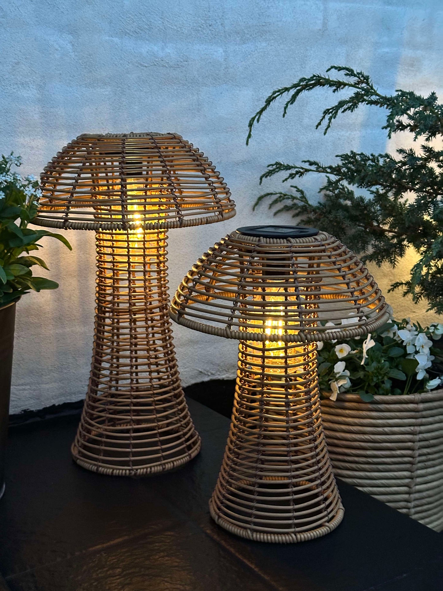 Sopp Solcelle - Natur Liten