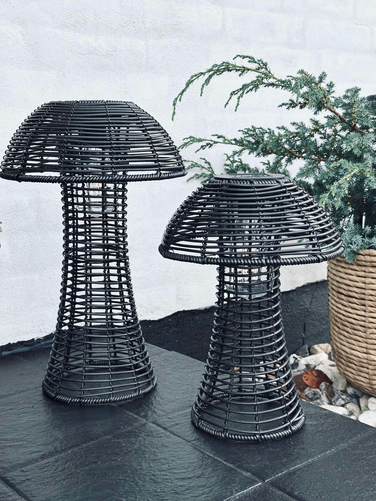 Sopp Solcelle - Svart Stor