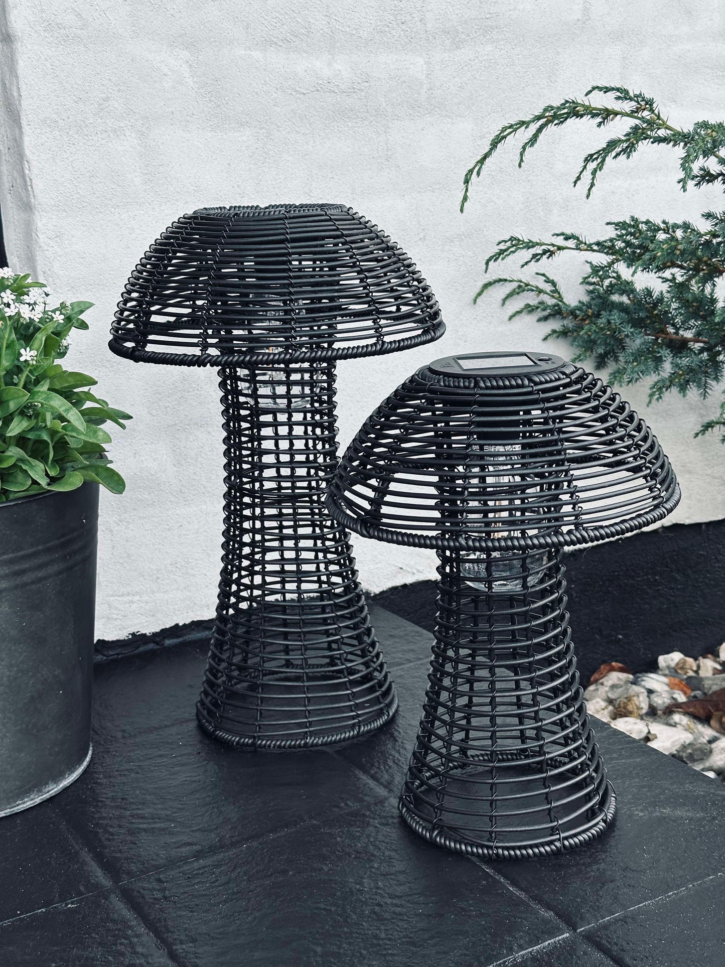 Sopp Solcelle - Svart Liten
