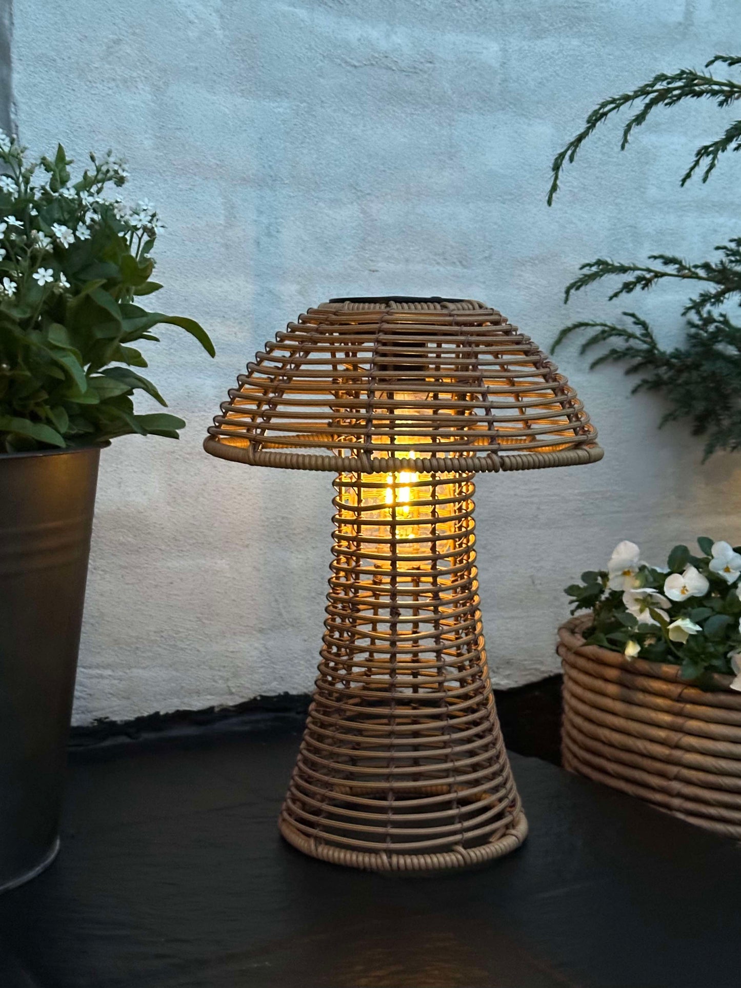 Sopp Solcelle - Natur Liten