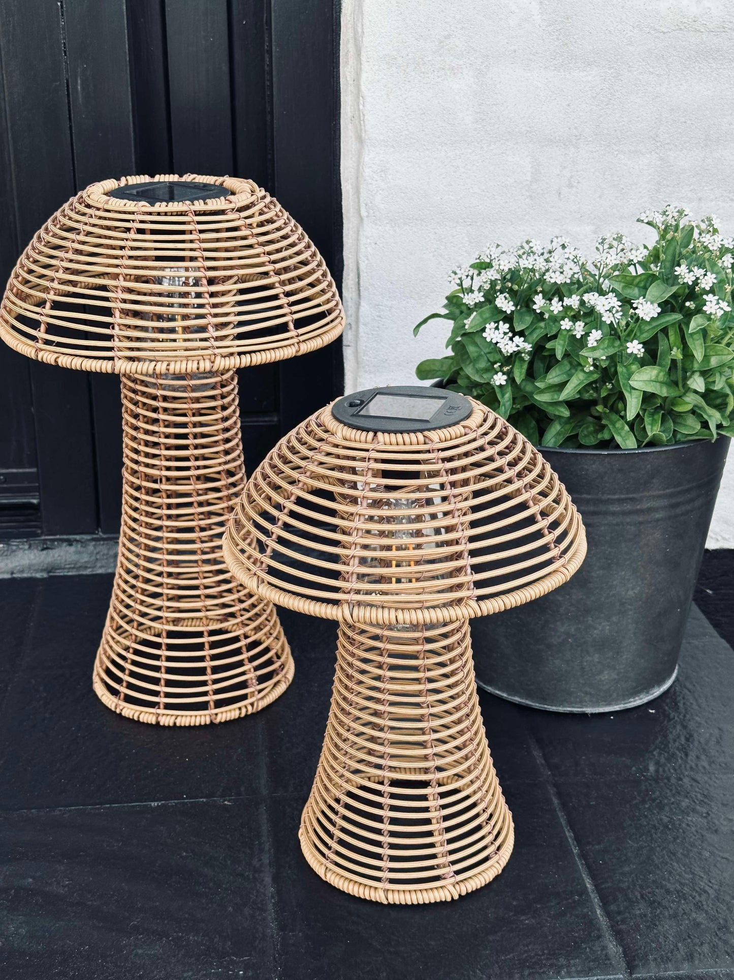 Sopp Solcelle - Natur Liten