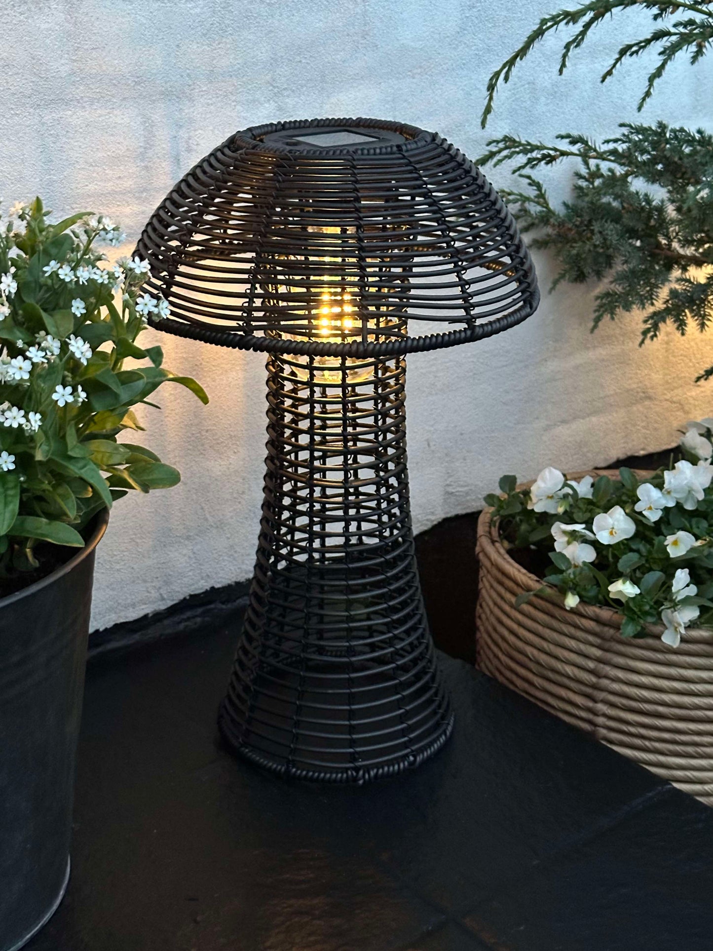 Sopp Solcelle - Svart Stor