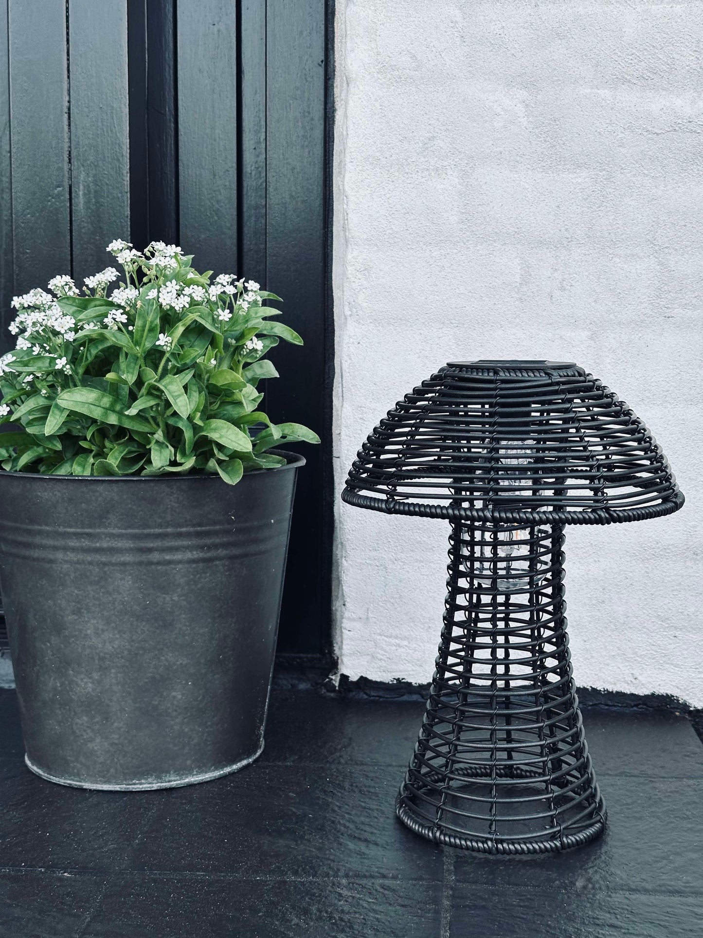 Sopp Solcelle - Svart Liten