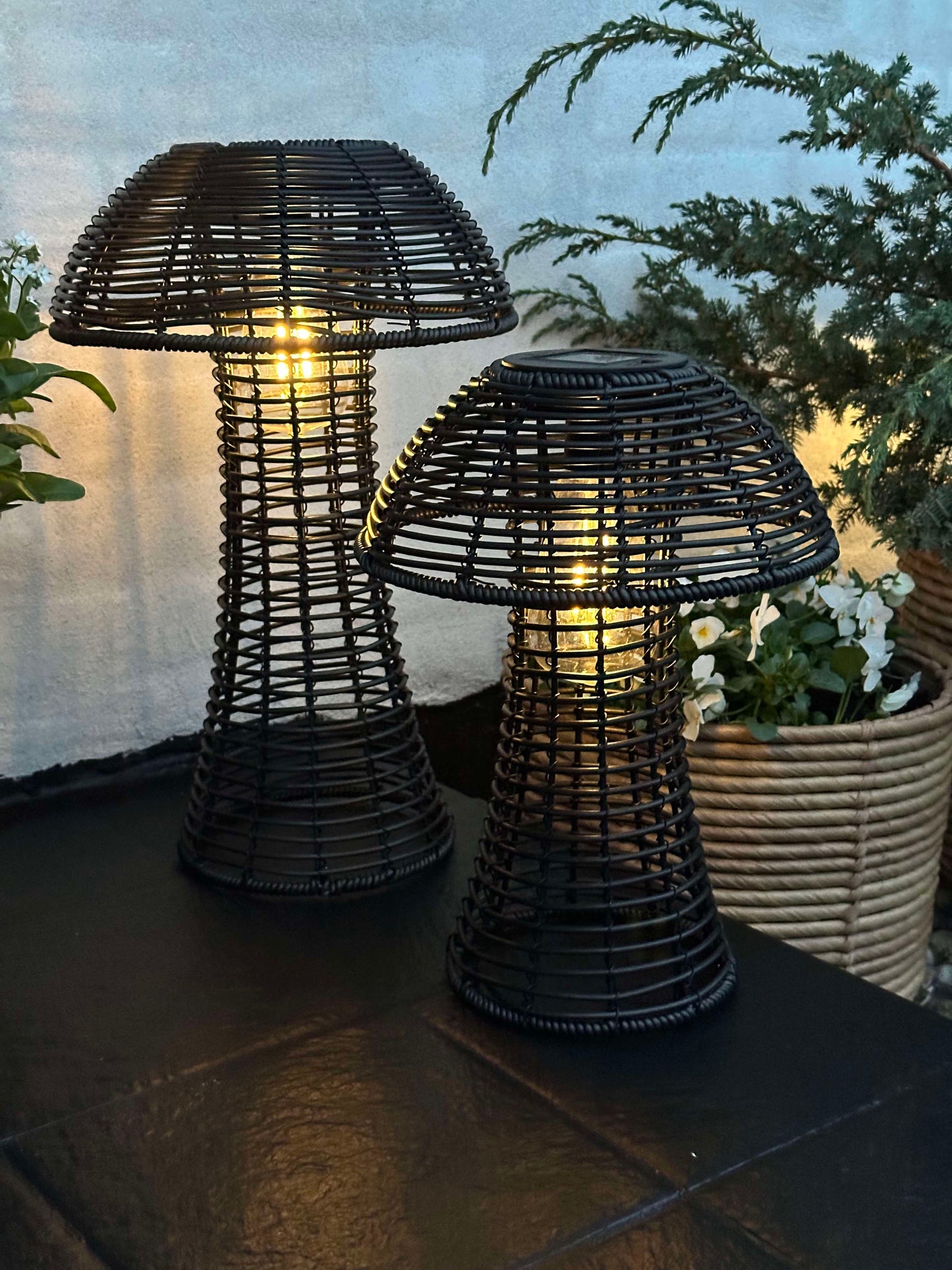 Sopp Solcelle - Svart Liten