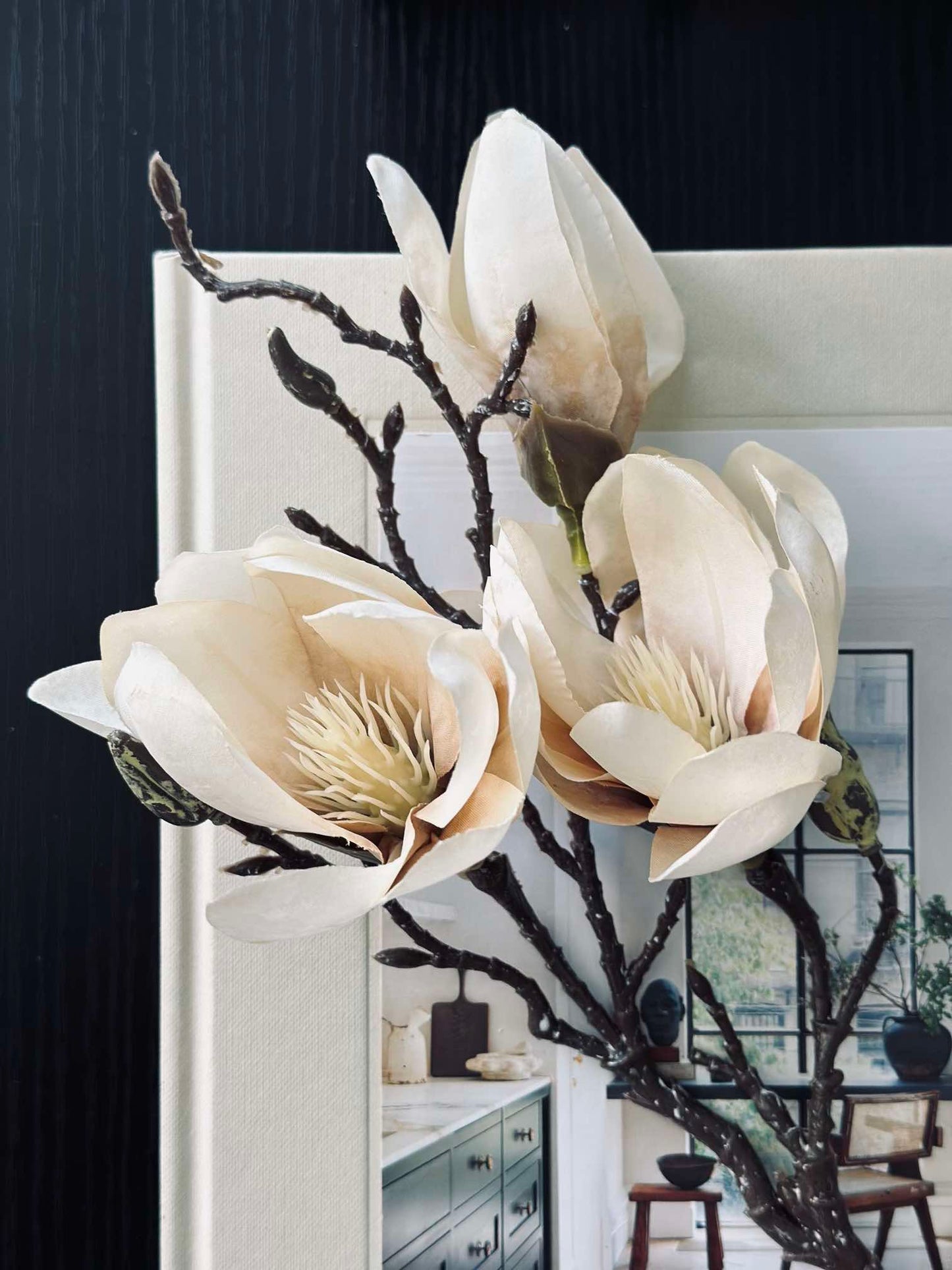 Magnolia gren