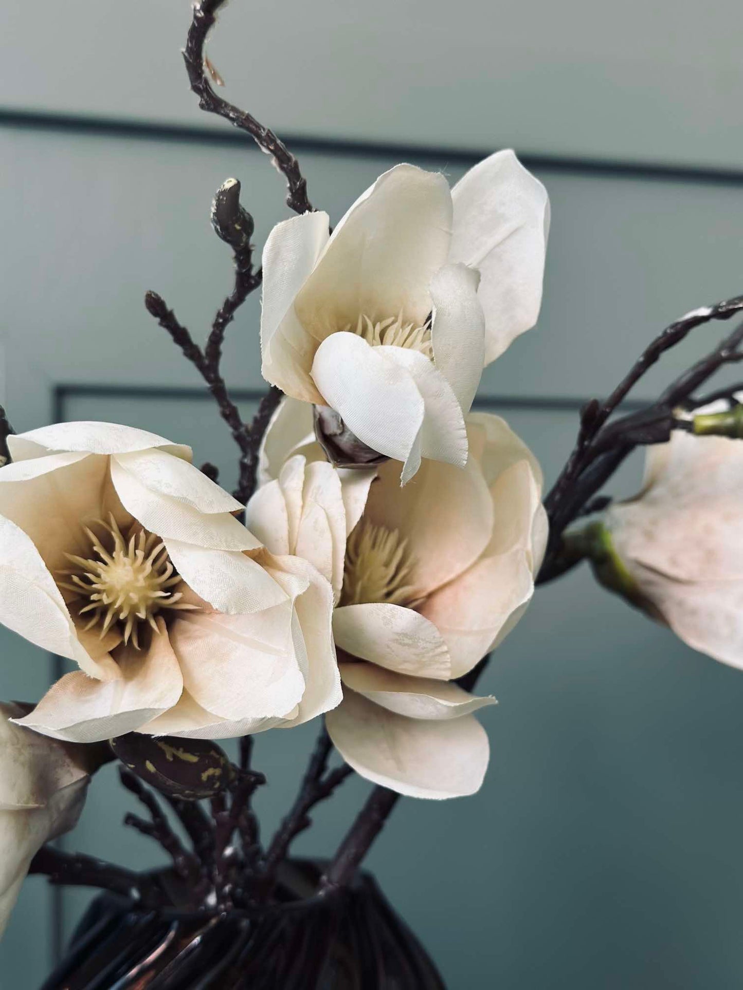 Magnolia gren