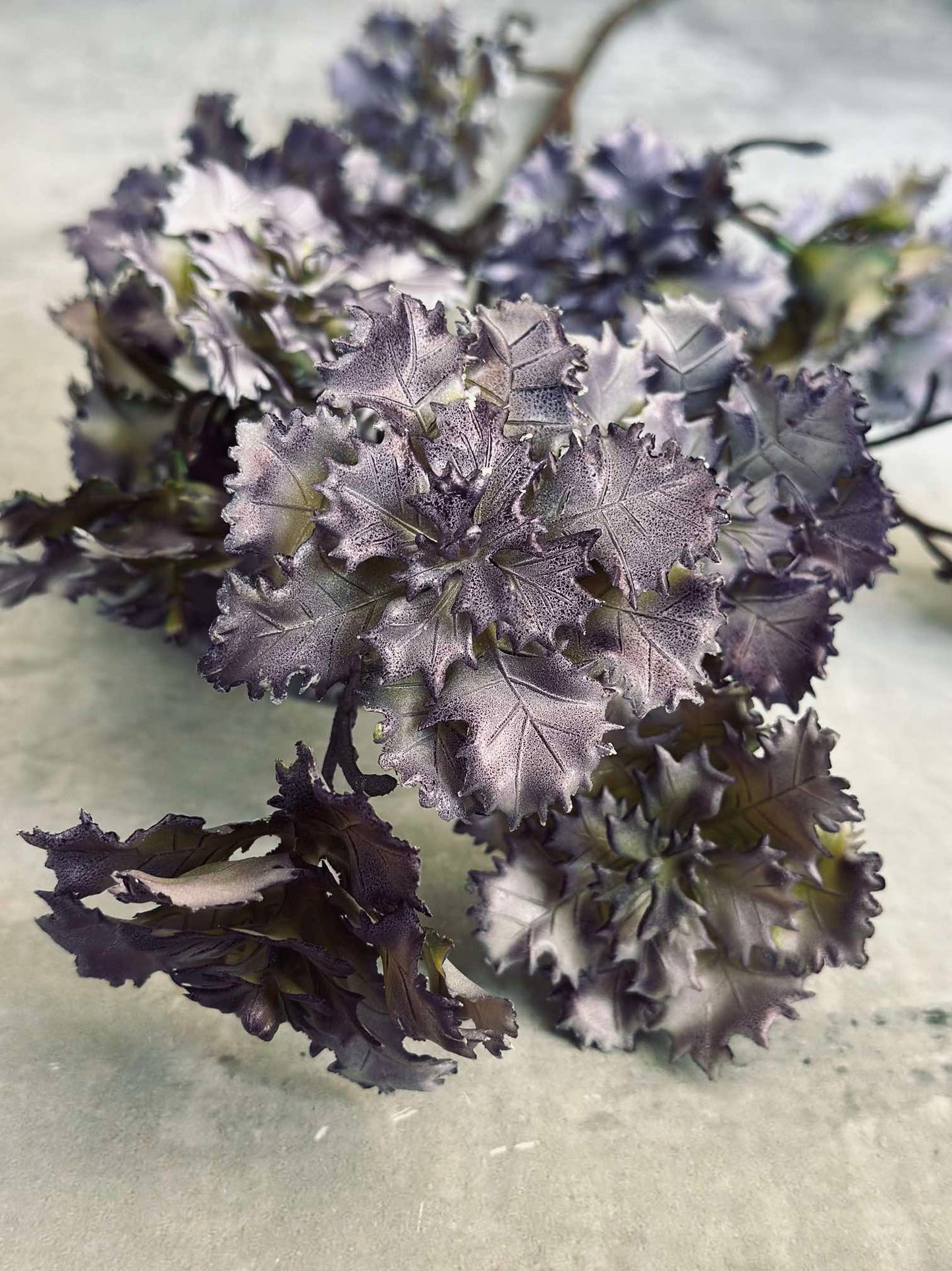 Blomst nellik
