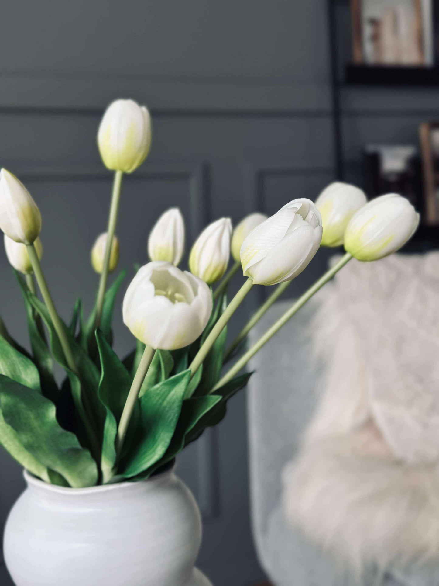 Tulipaner – Flere farger