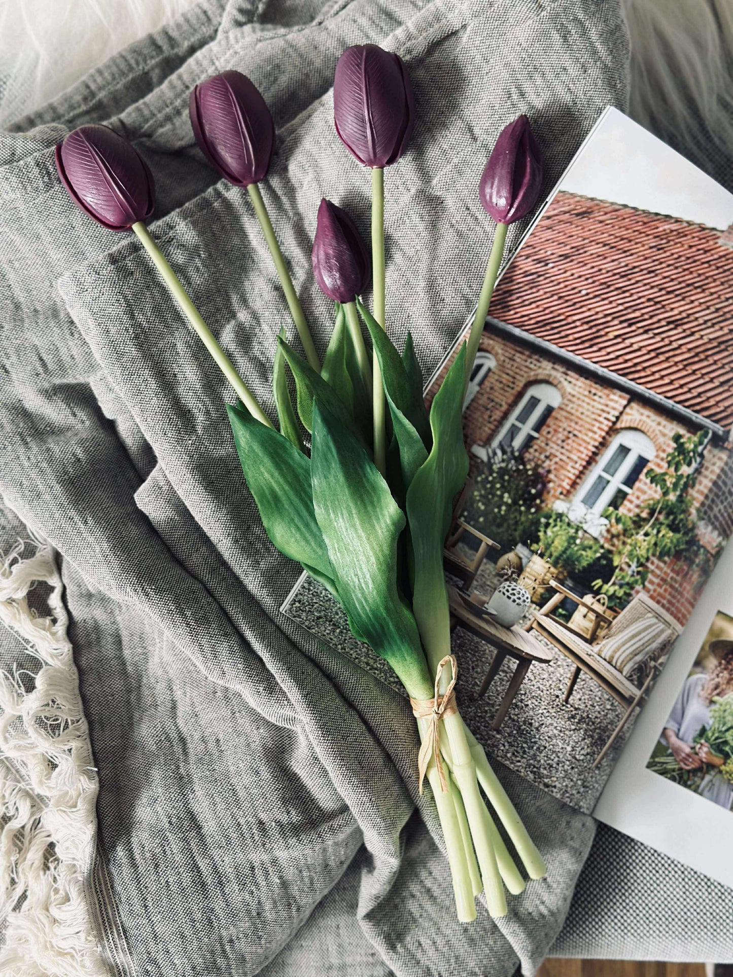 Tulipaner – Flere farger