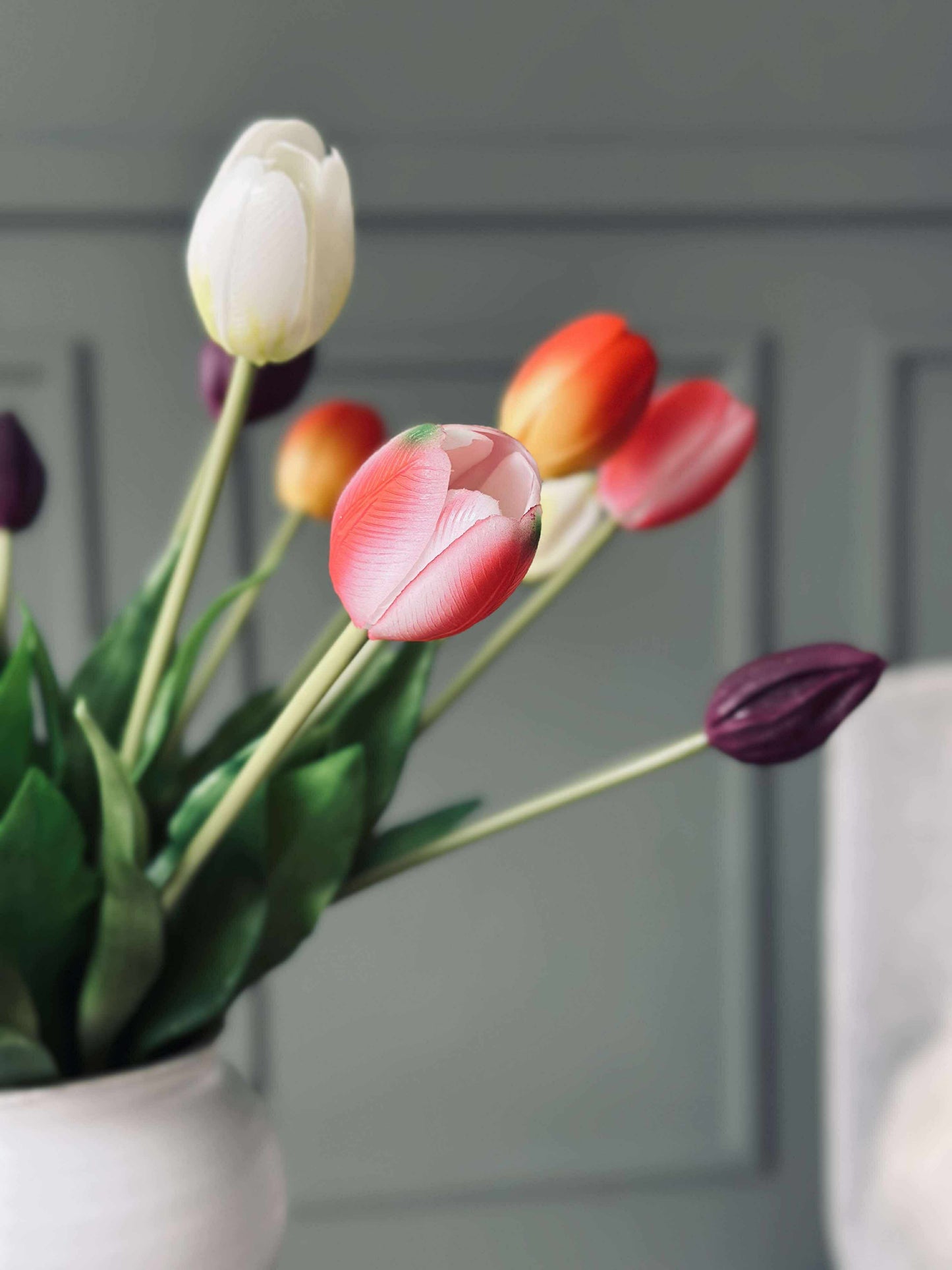 Tulipaner – Flere farger