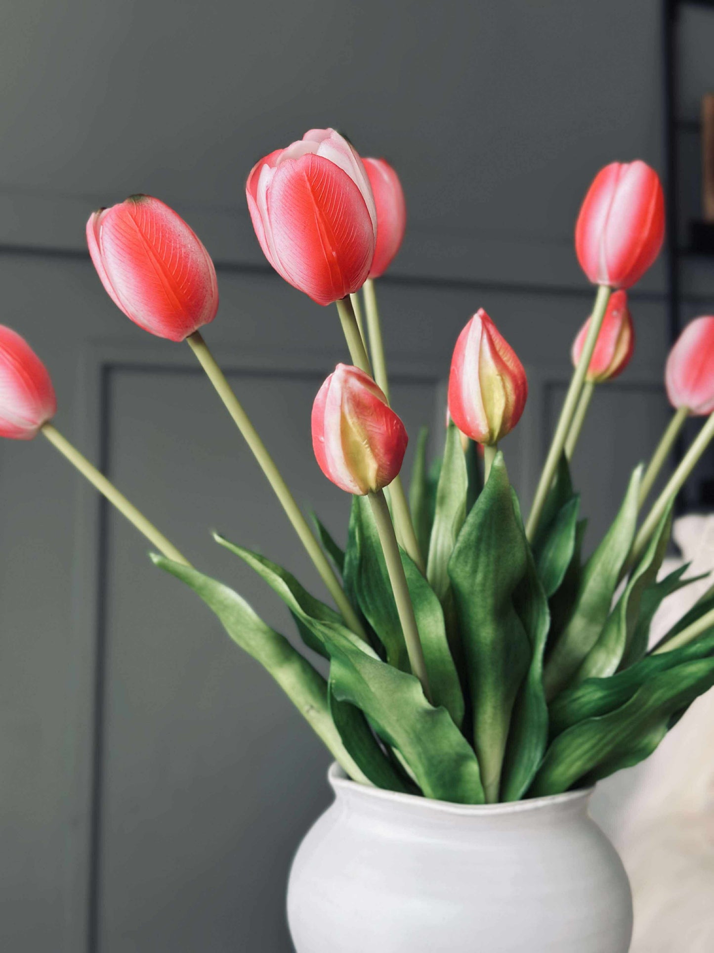 Tulipaner – Flere farger