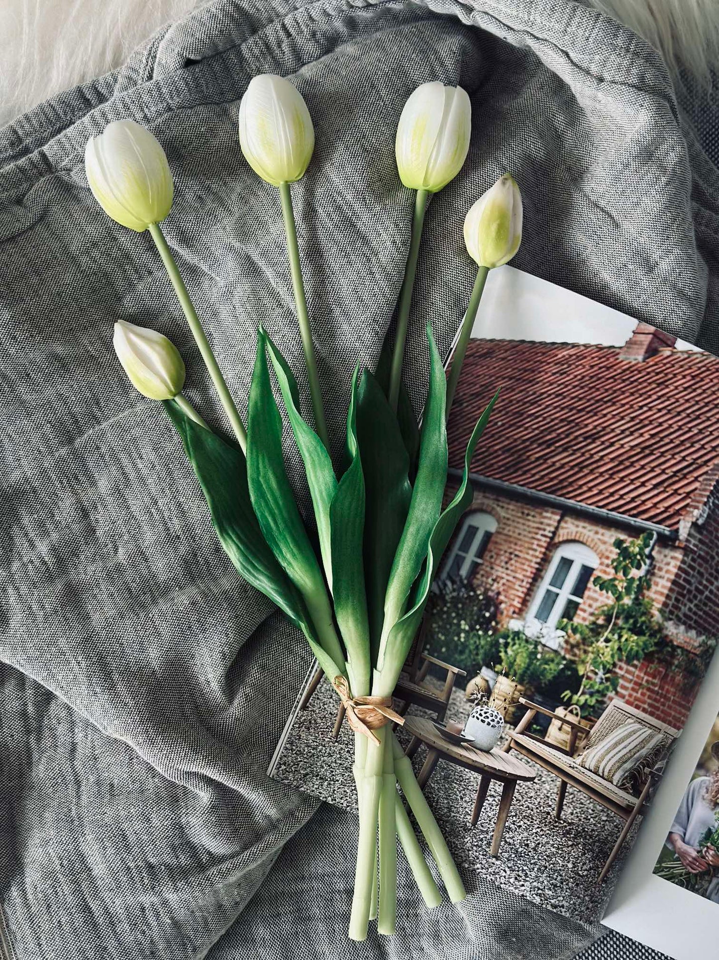 Tulipaner – Flere farger