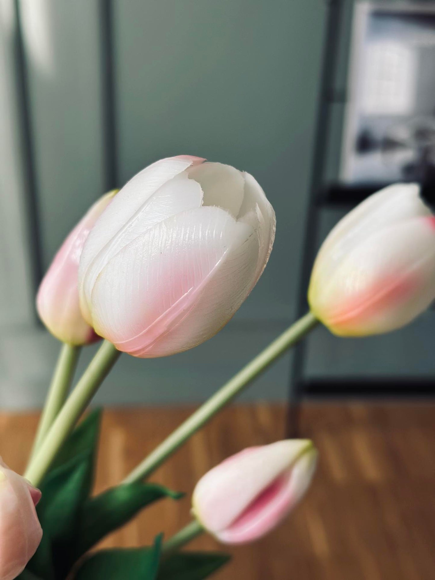Tulipaner – Flere farger