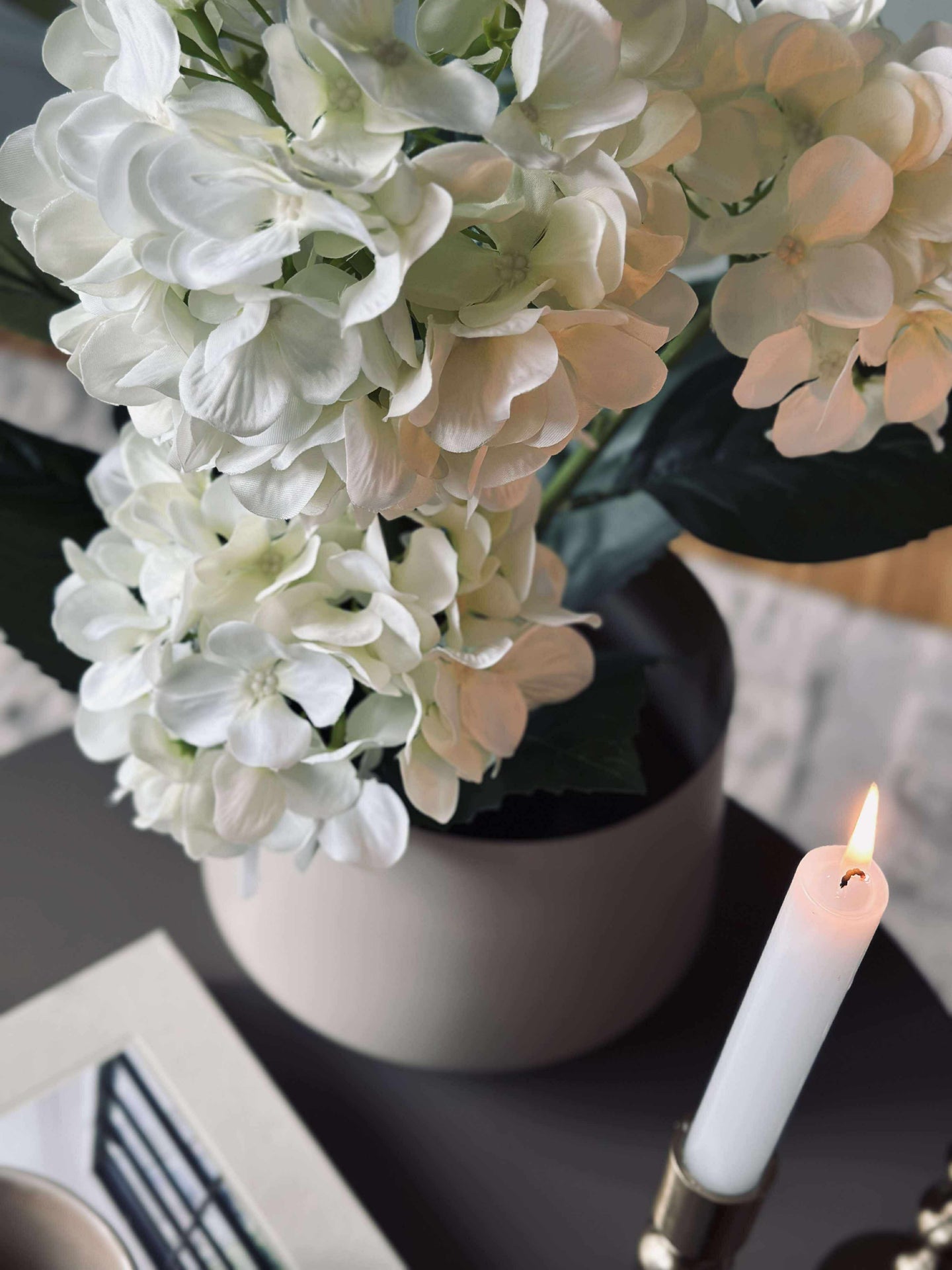 Hortensia i potte - Hvit
