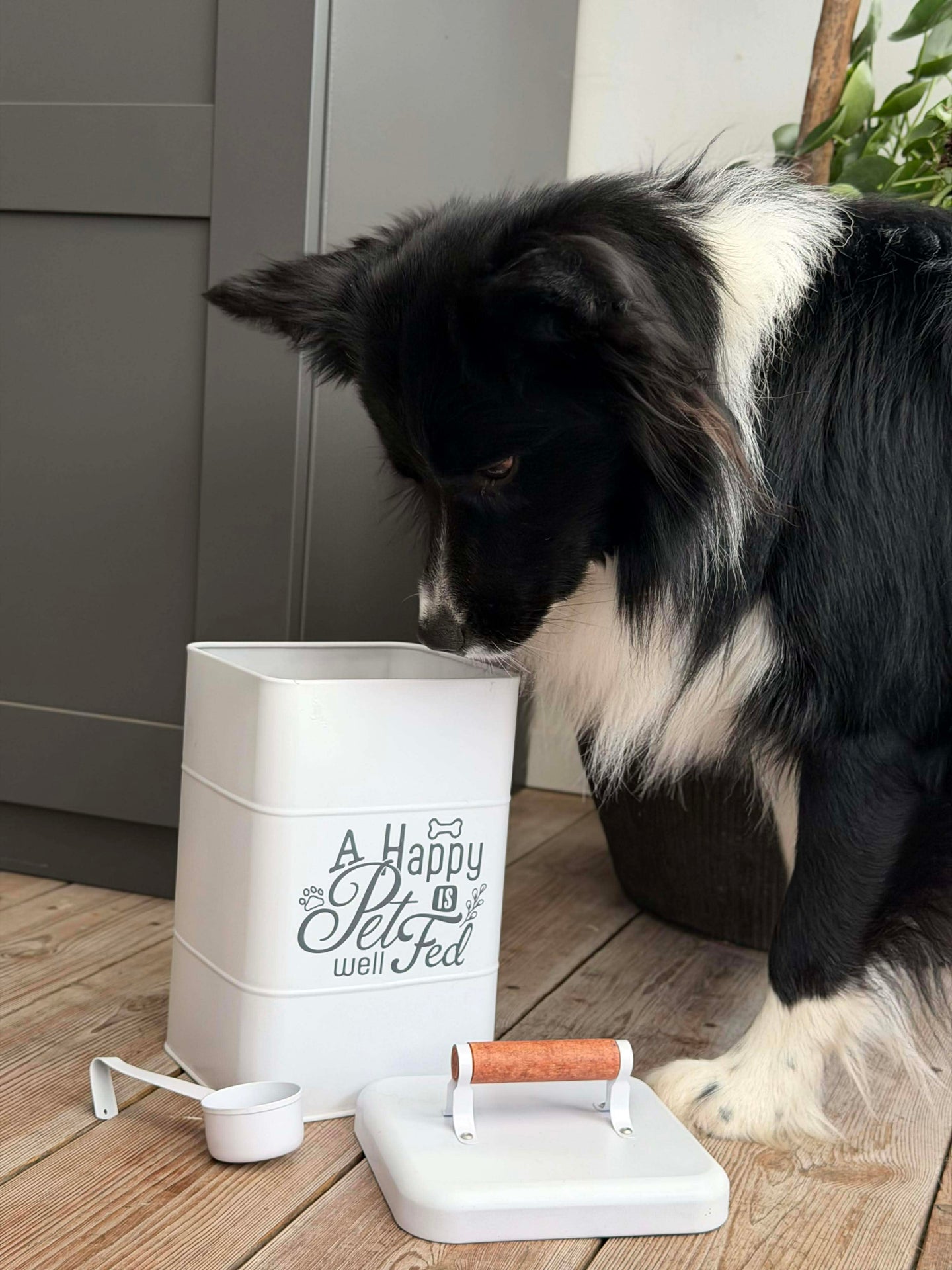 Oppbevaring til kjæledyrsfôr