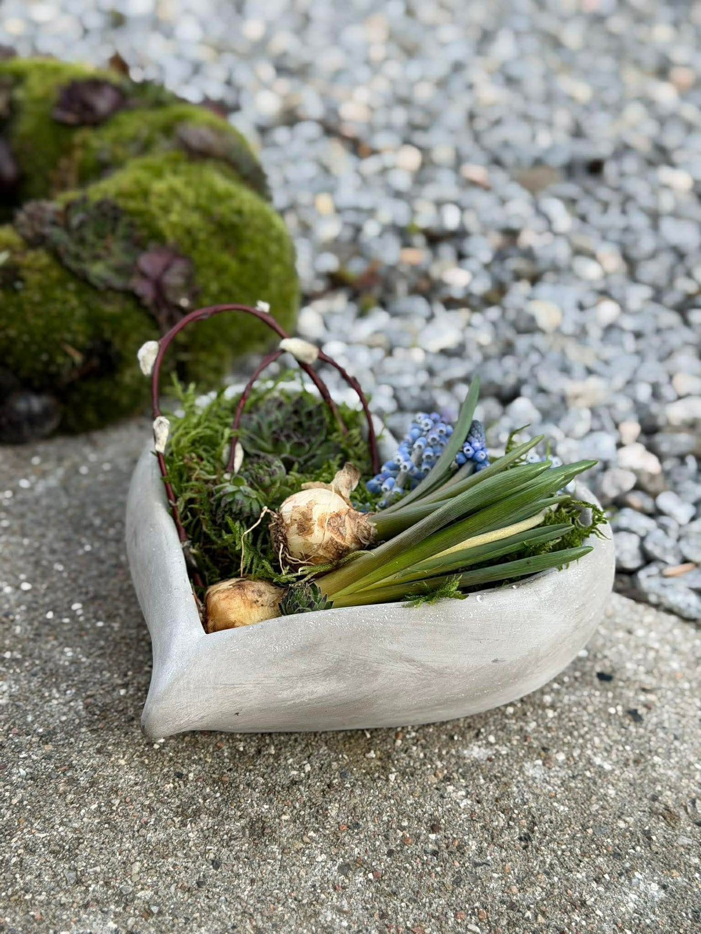 Hjerte til beplantning