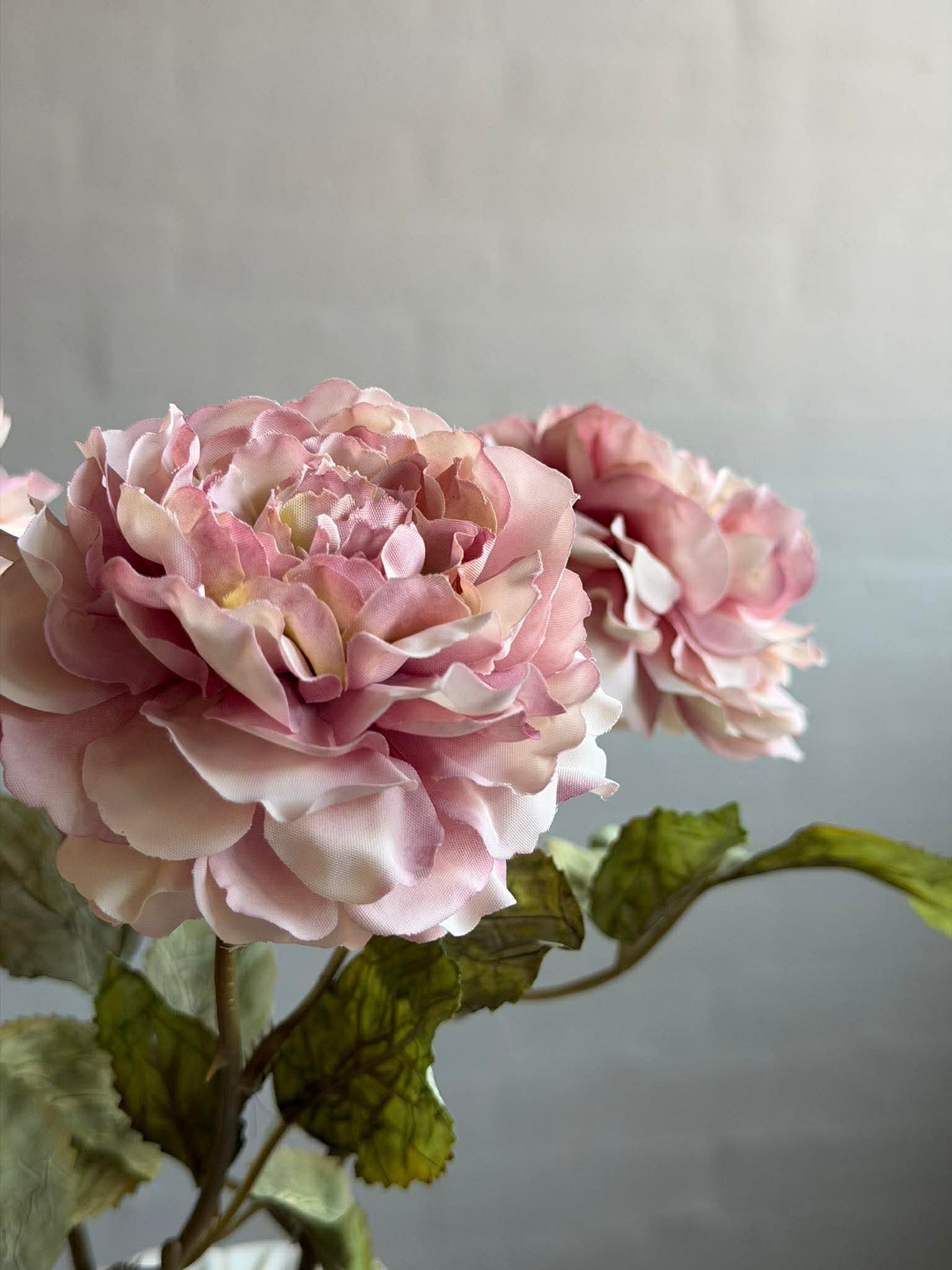 Rose 38 cm – Støvet rosa