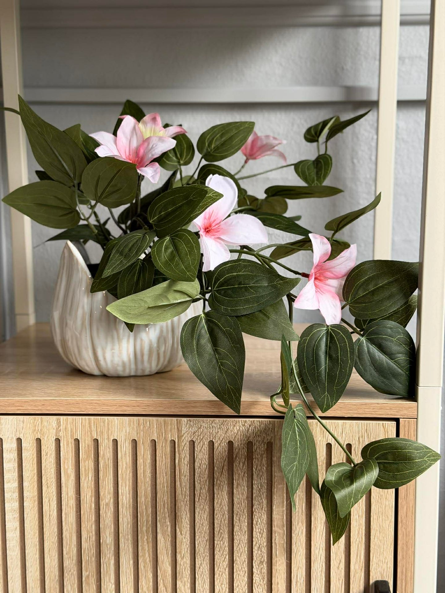 Hengende plante - flere farger
