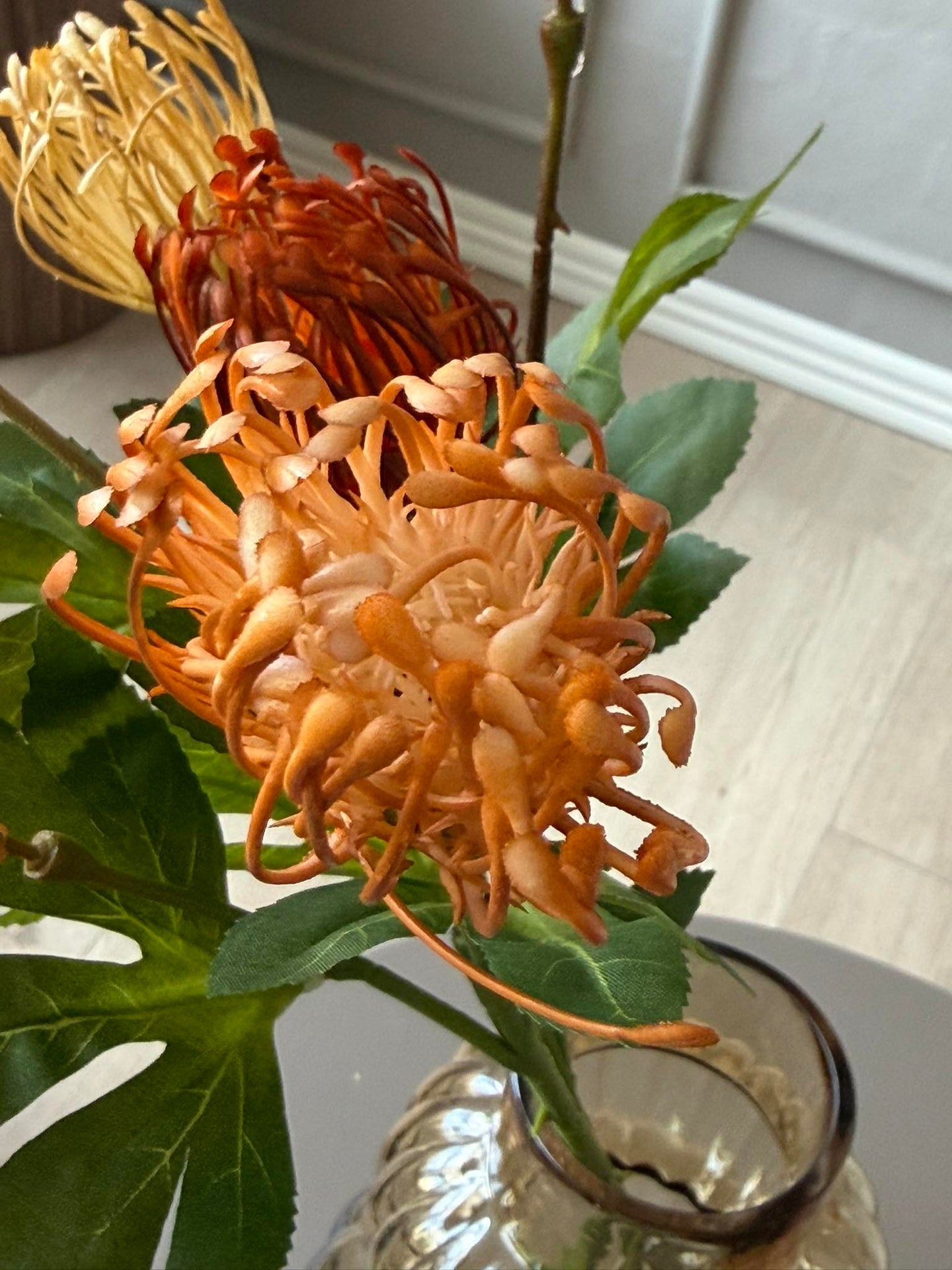 Blomstergren Krysantemum - Flere farger