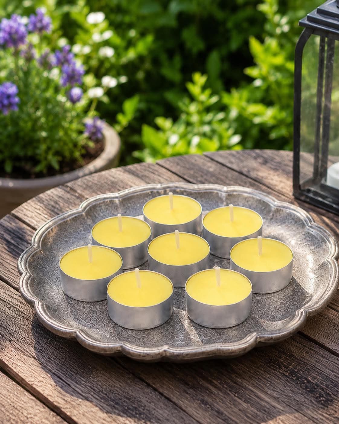 Citronella telys 8 stk