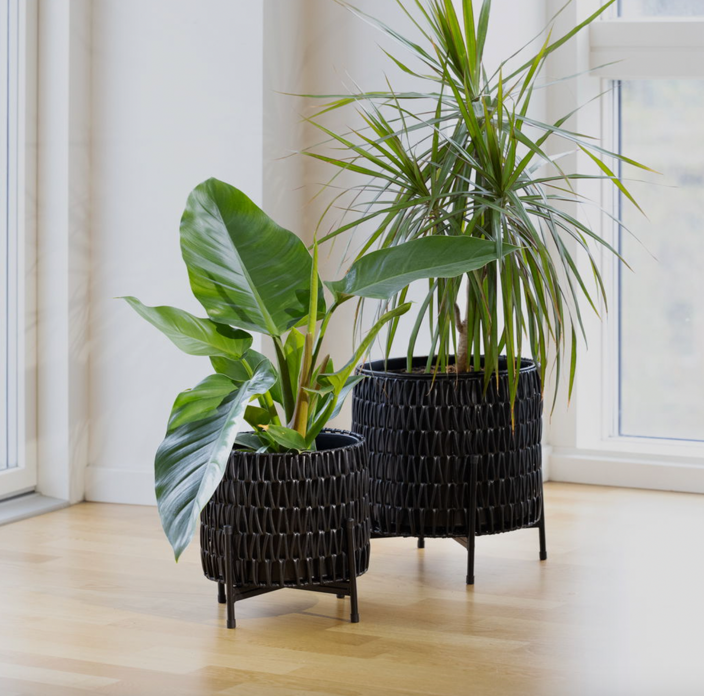 Plantekurvsett med 2 kurver.