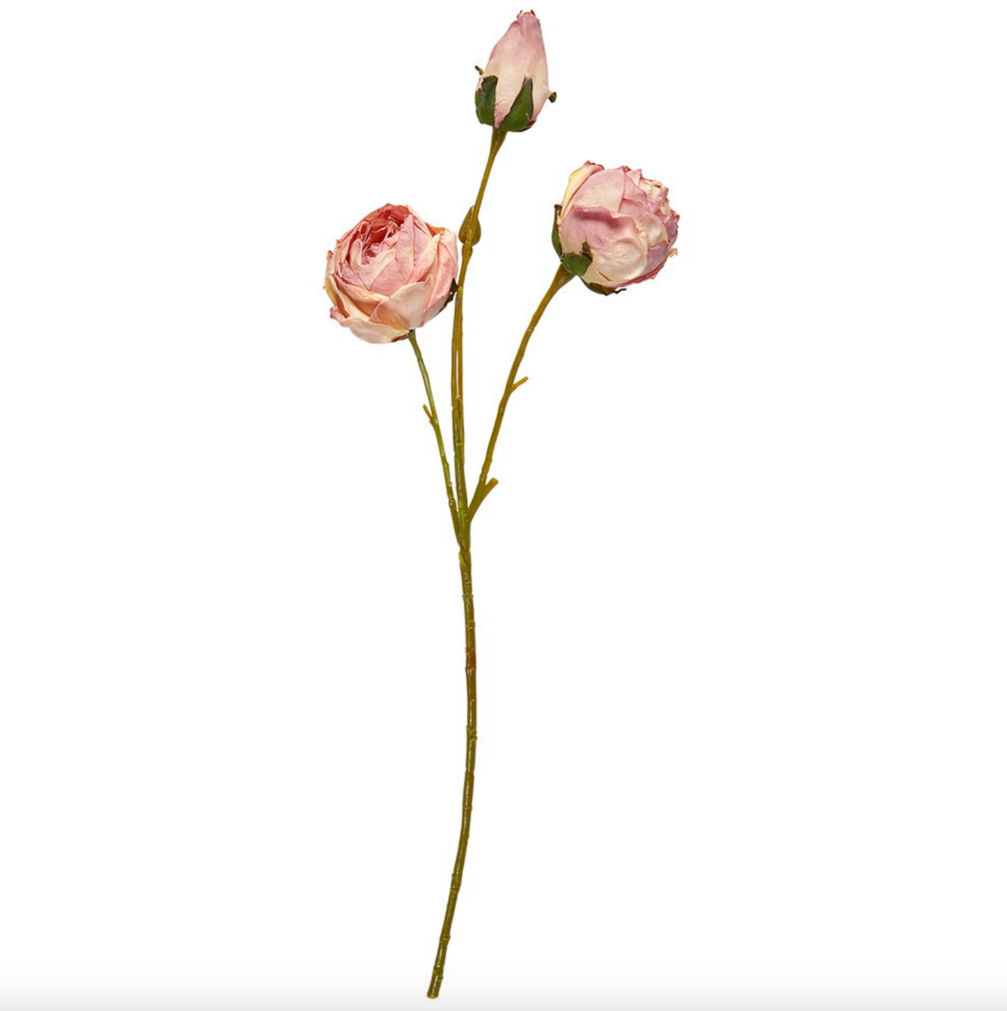 Rosestilk
