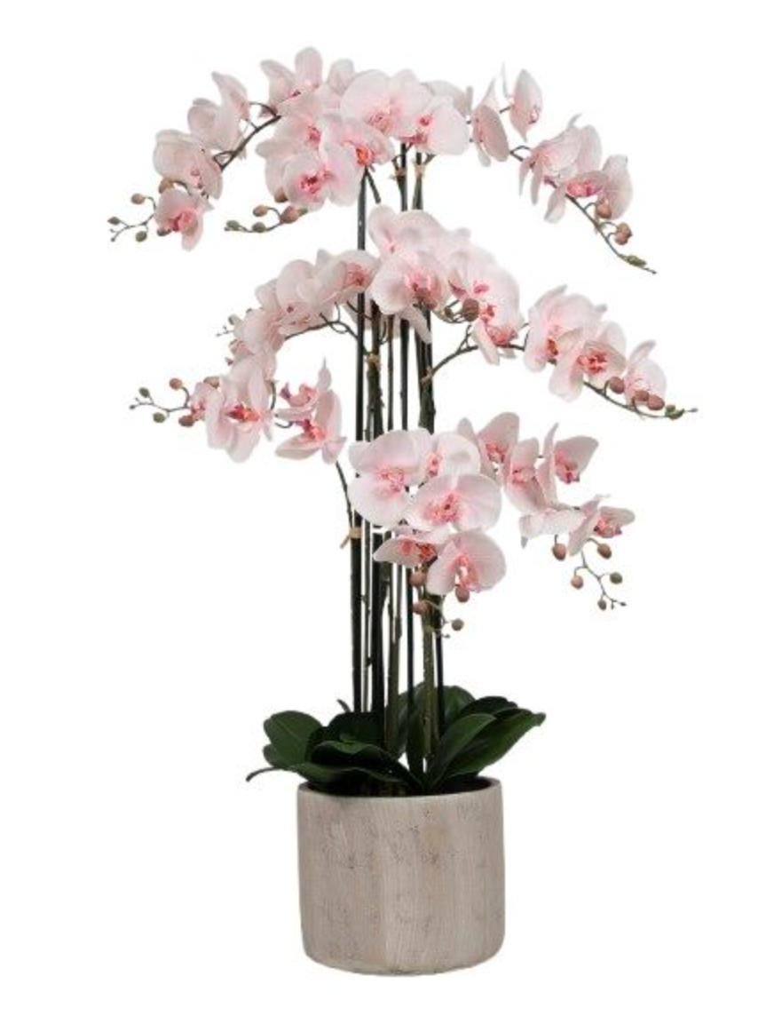 Orkidé i Potte 105 cm - Rosa