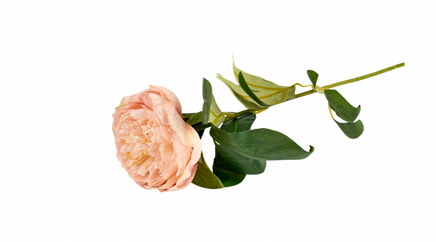 Blomst Peon - Sart rosa 70 cm