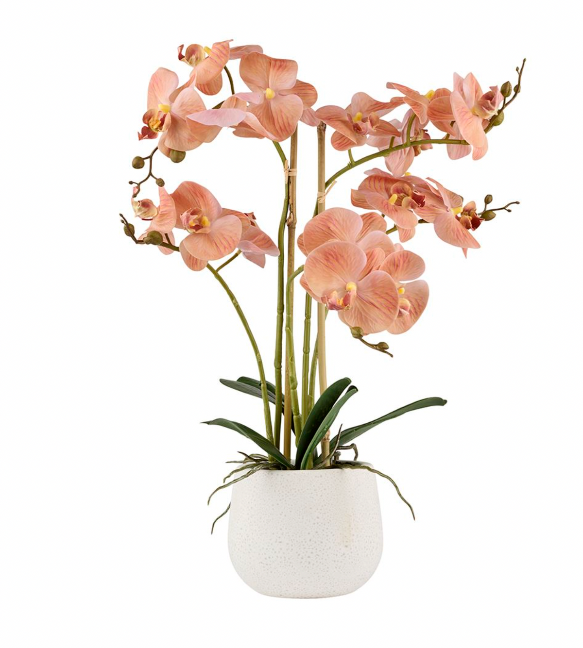 Orkidé i potte - Rosa 50cm