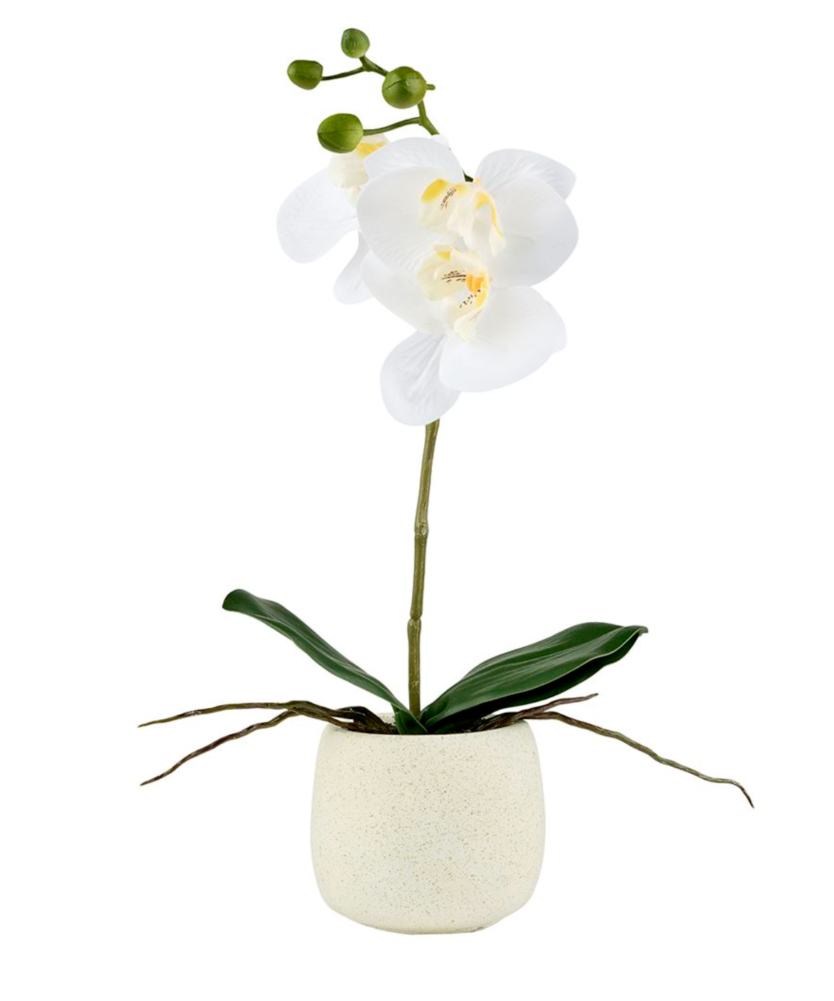 Orkidé i potte - Hvit 36cm