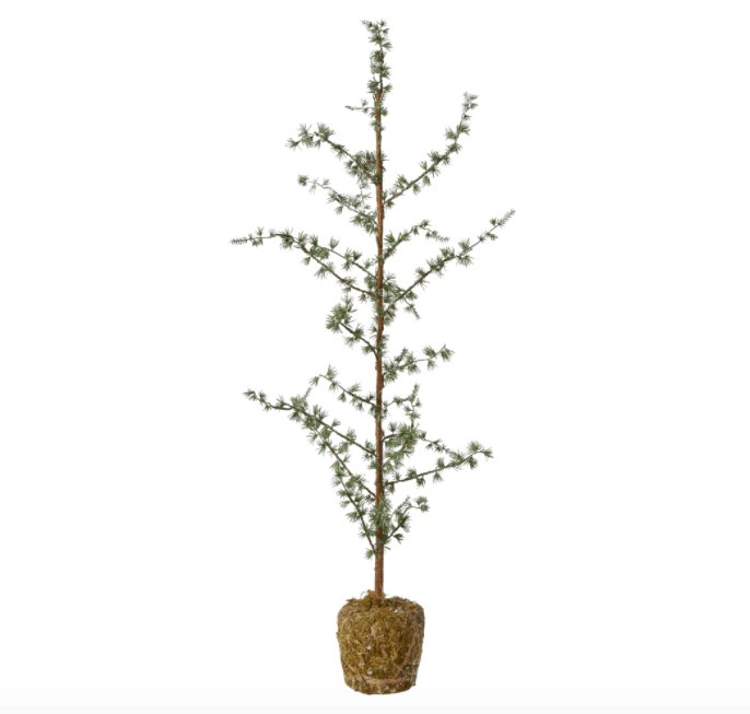 Cedertræ m/mos H75cm - VIAMAJA.DK