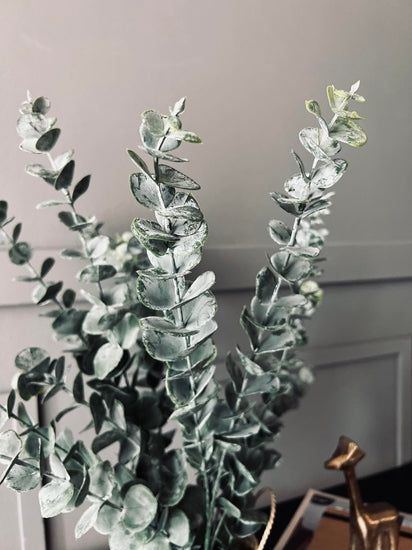 Eucalyptus med kurv - VIAMAJA.DK