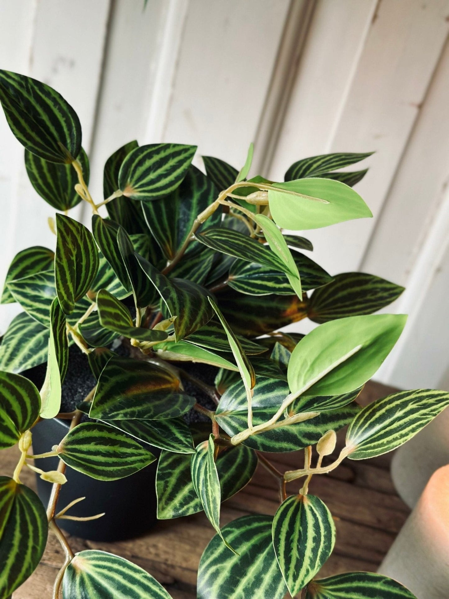 Hængeplante – Green No.1 - VIAMAJA.DK
