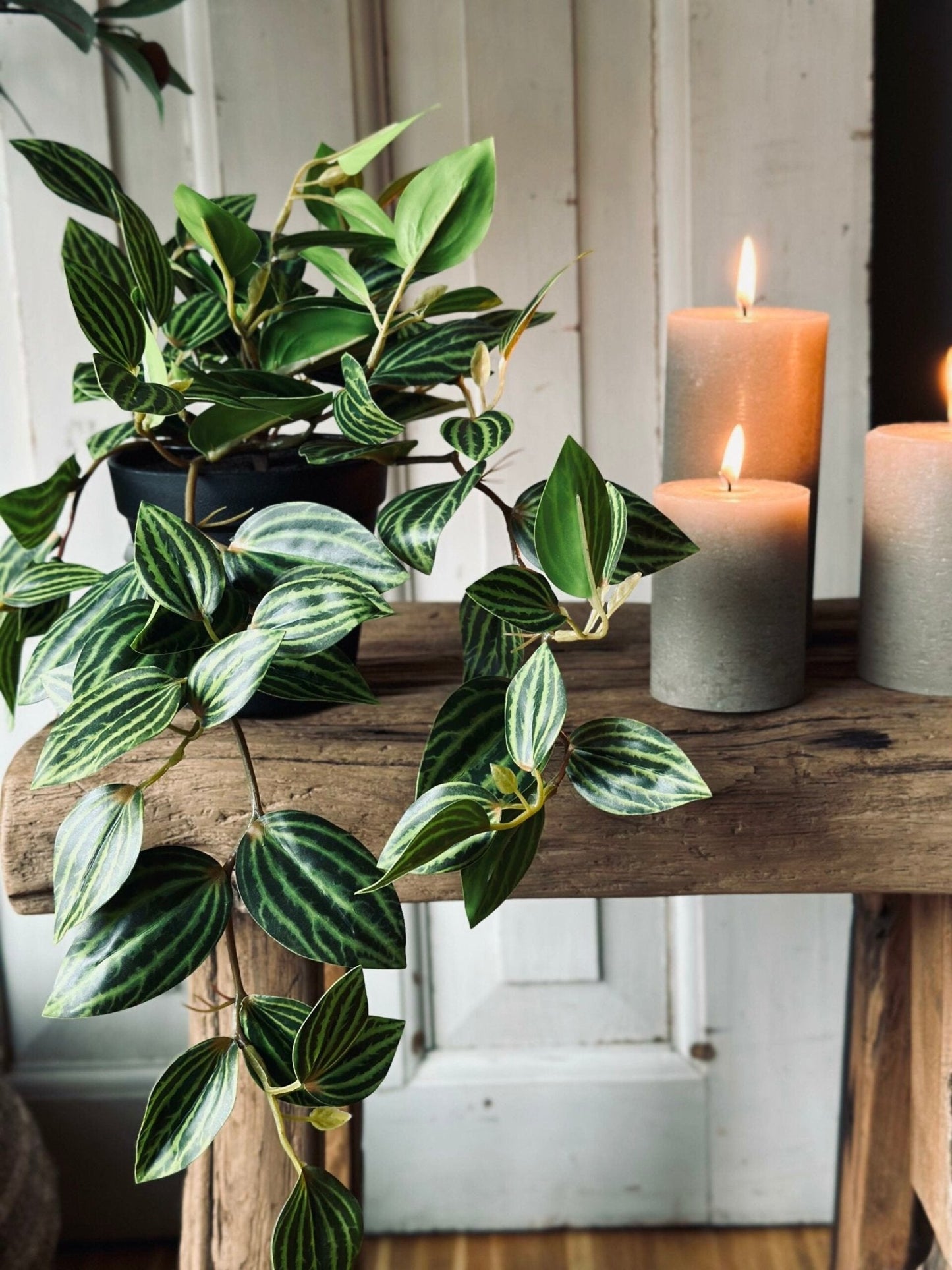 Hængeplante – Green No.1 - VIAMAJA.DK