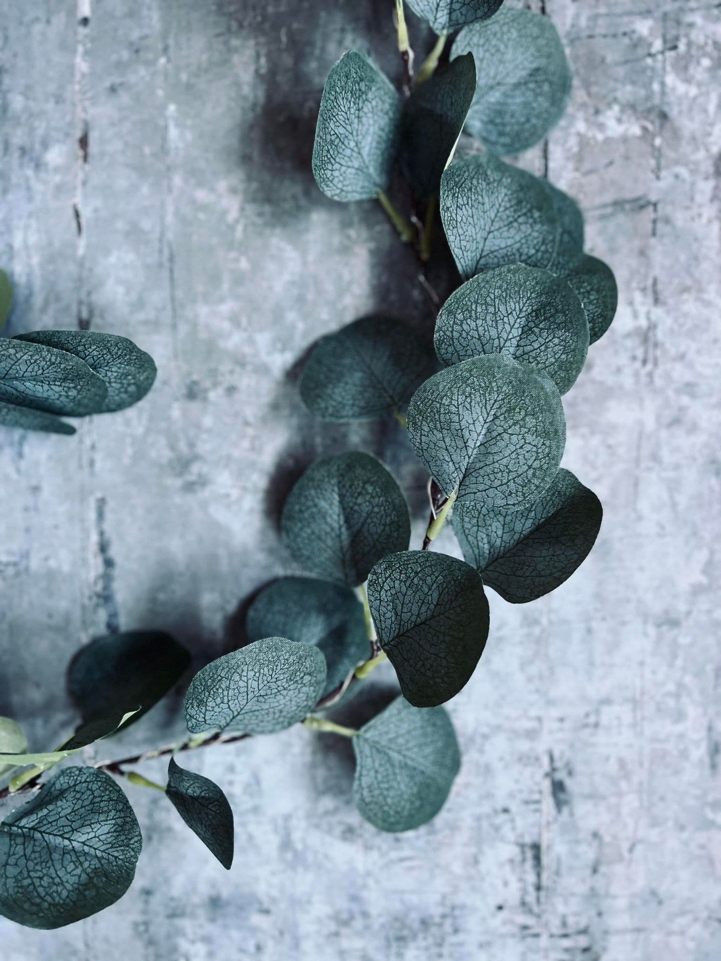 Lyskæde med eucalyptus - VIAMAJA.DK