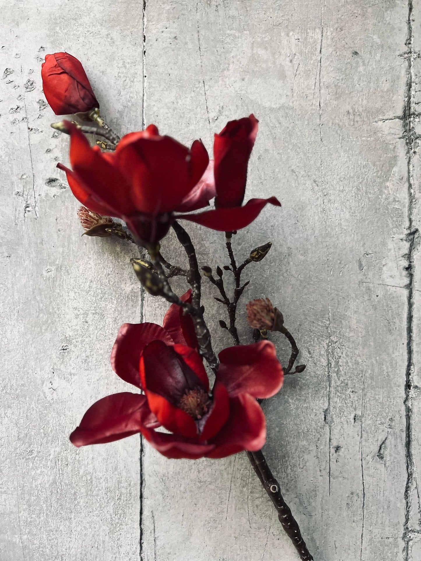 MAGNOLIA 88CM - RØD - VIAMAJA.DK