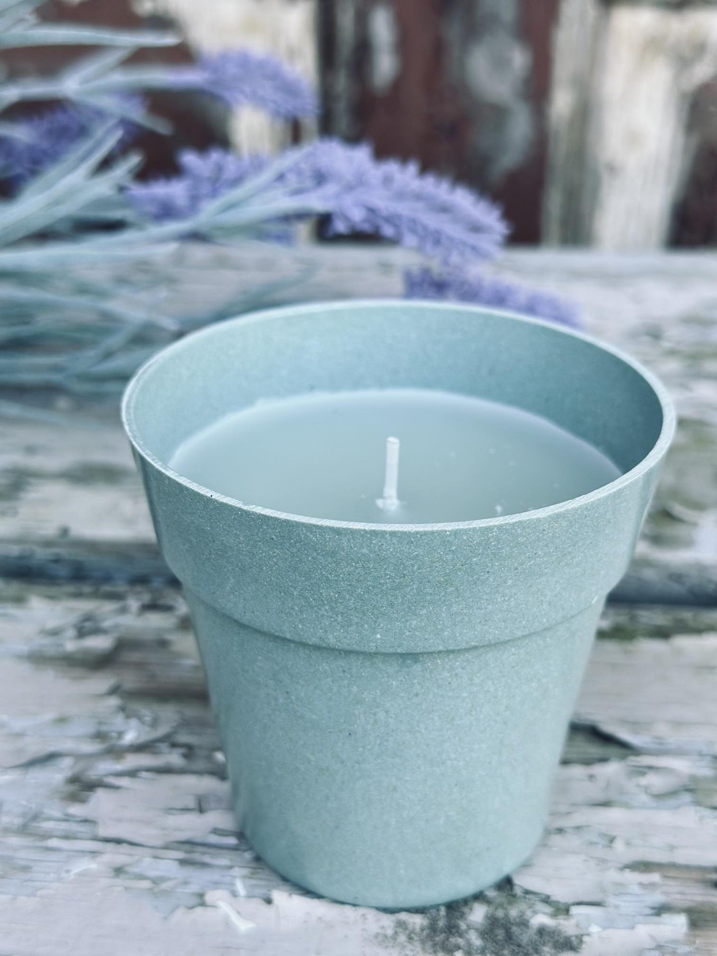 Myggelys – Citronella i biopotte - VIAMAJA.DK