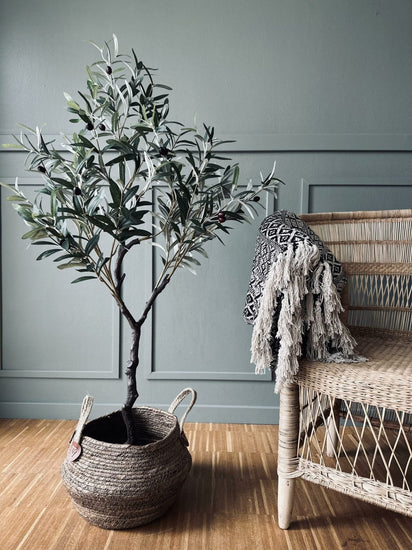 Oliventræ 120 cm - VIAMAJA.DK