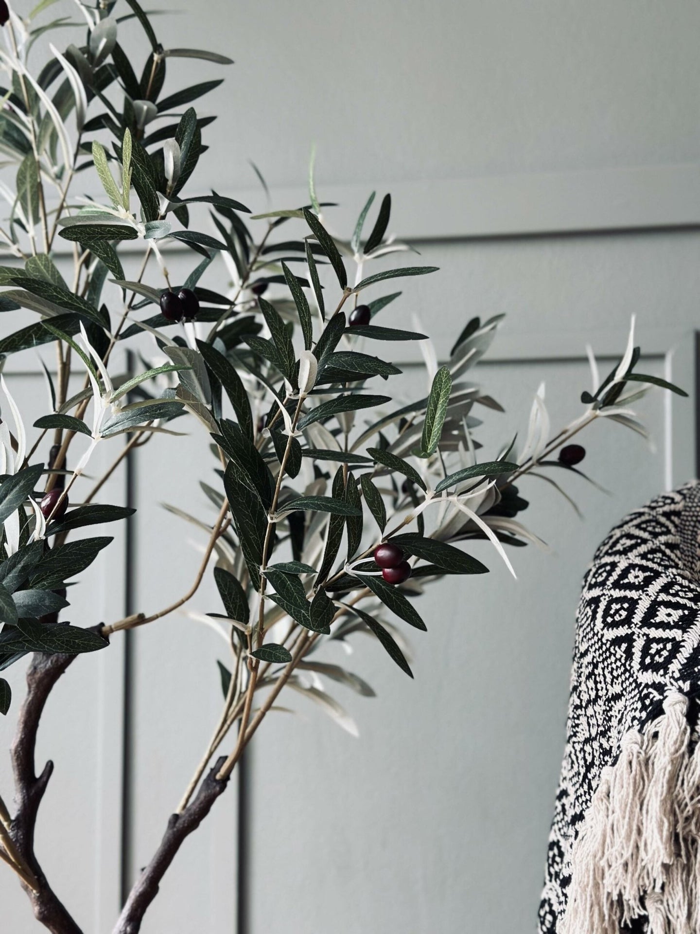 Oliventræ 120 cm - VIAMAJA.DK