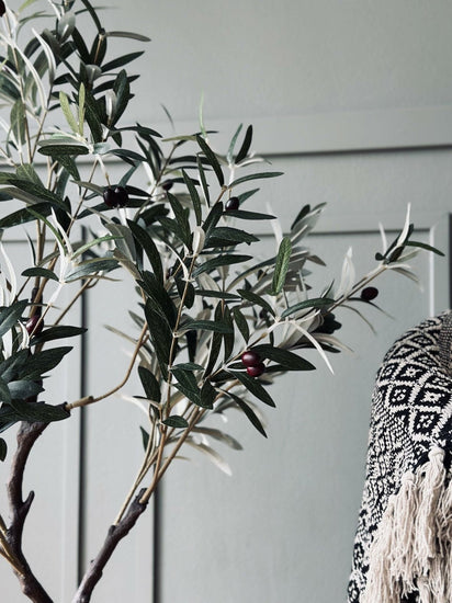 Oliventræ 120 cm - VIAMAJA.DK