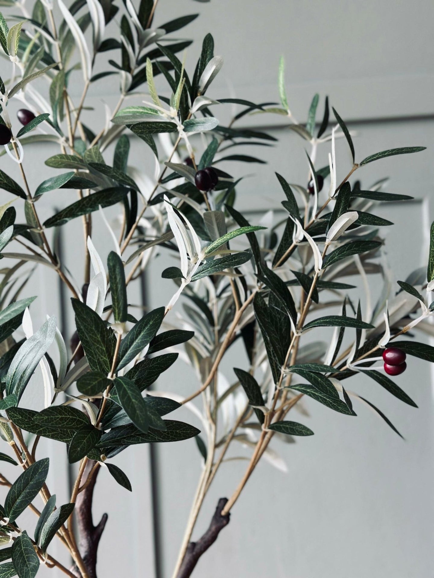 Oliventræ 120 cm - VIAMAJA.DK