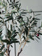 Oliventræ 120 cm - VIAMAJA.DK